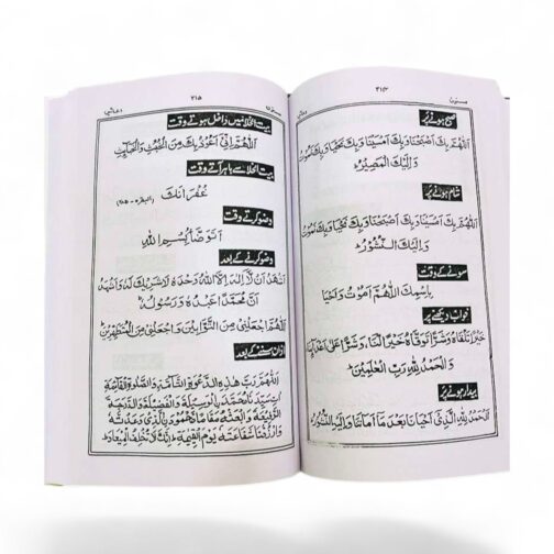 Pakistani Panjsurah in Urdu - Image 5